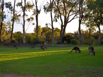 Fellow guests on site