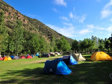 Camping area