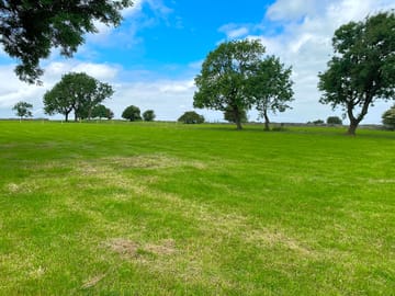 Large field very spacious