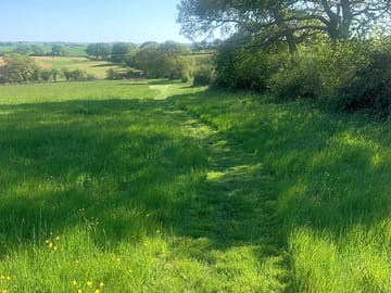 Path leading up to the tent pitches