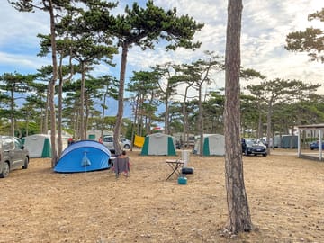 Visitor image of the pitches
