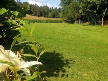 Grass pitches