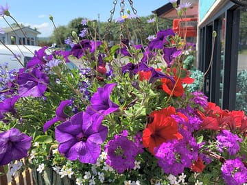 Llanina caravan park