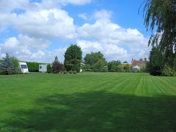 The site