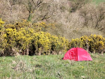 Near the gorse