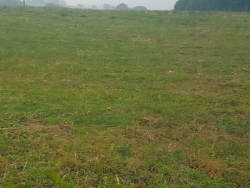 A misty morning on site