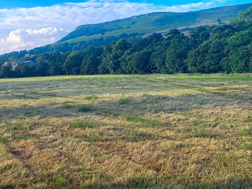 Grassy field