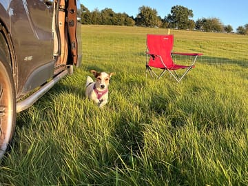 Dog-friendly camping