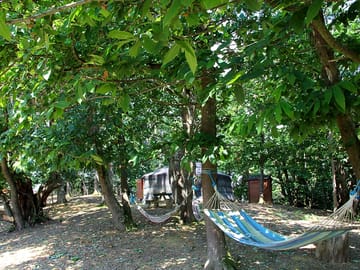 Hammocks on site