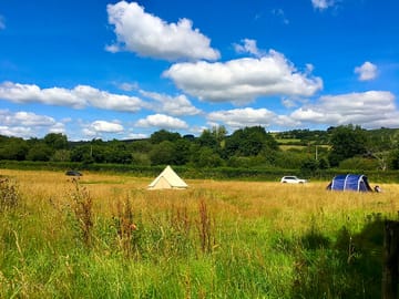 Meadow setting