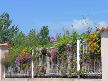 Entrance to the site