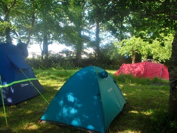 Grass pitch