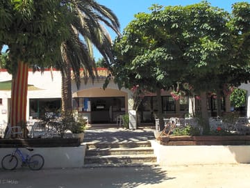 Bar terrace under the shade of trees