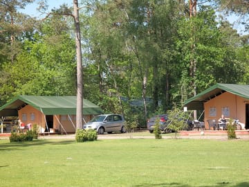 Safari tents with ample grass fields in front of them