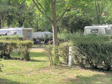 Pitches among the trees
