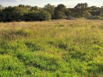 Woodlands and glades to explore
