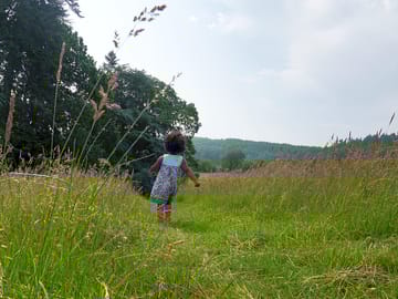 Visitors are welcome to explore the farm