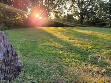 Sunset on raised area