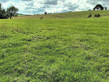 Lovely rural views