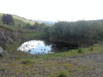 Looking over the pond