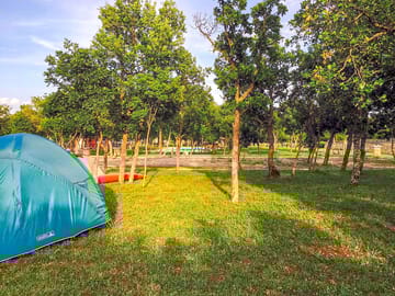 The site