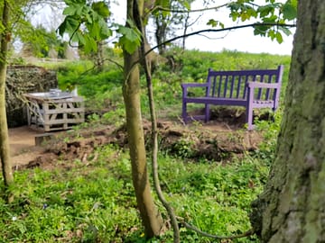 Bench