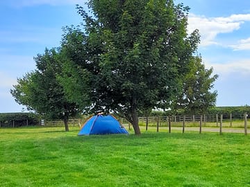 Camping field