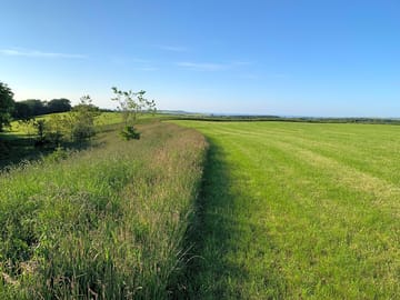 Sloping field towards the stream