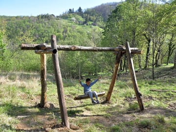 Swing in campsite