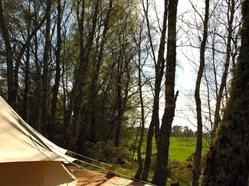 Looking out from the bell tent platform to the view beyond the trees