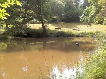Pond