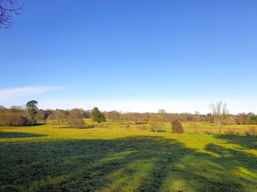 Lots of open space
