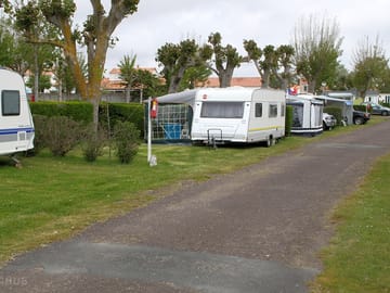 Bring an awning or gazebo for free