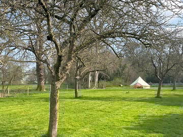 Looking up the paddock