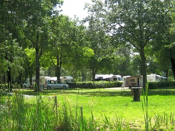 Pitches under the trees
