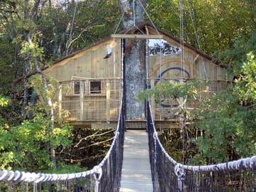 Treehouse with bridge