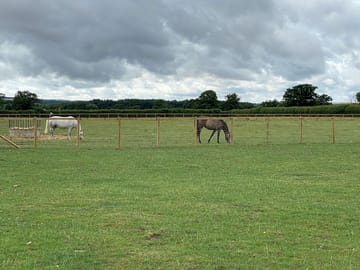 Horse field