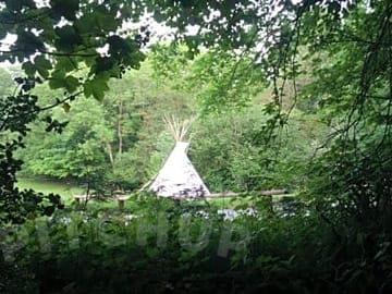 View from the neighbouring woodland