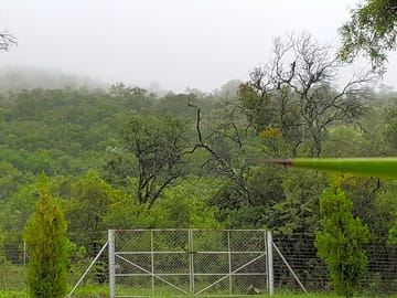 View from the site