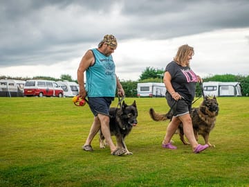Dogs welcome