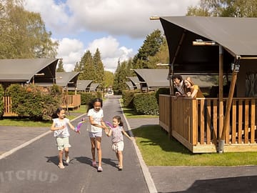 Safari tents