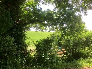 Gate to the woodland