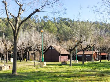 Pitches