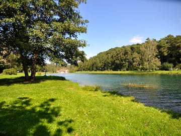 Lake for fishing nearby