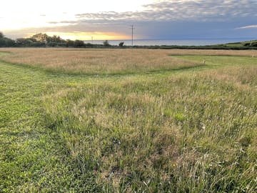 Grass tent pitches