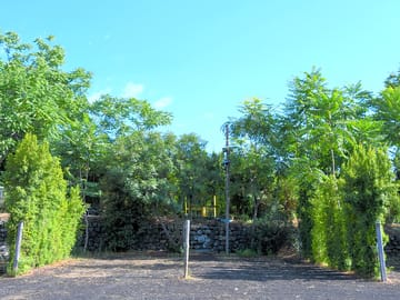 Two of the pitches