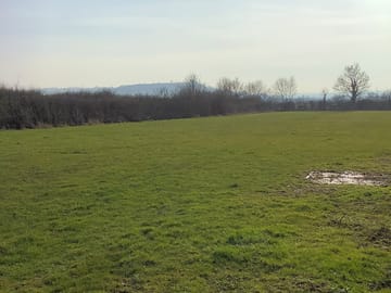 View from part of the field