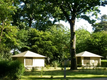 Set among the trees
