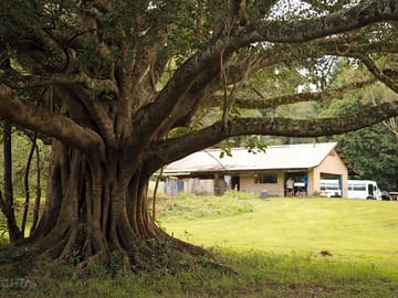 Communal facilities