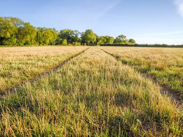 30 pitches sited on flat, open grassland